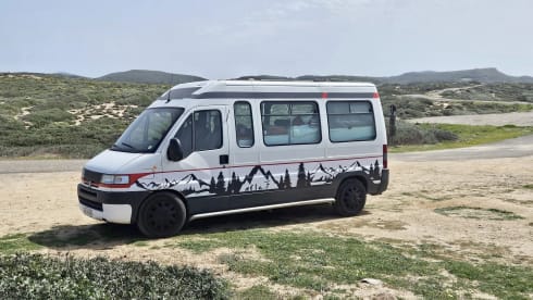 Boxer – True Boxer