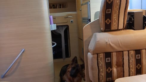 Fijne ruime camper 2 tot 6 persoons