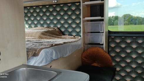 2p Fiat campervan uit 2016