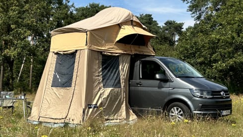 Toit Volkswagen 4p de 2018