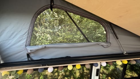 4p Volkswagen integrated from 2019