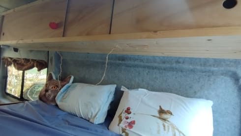 the Lady – Peugeot Boxer voor 3- met ruim bed en veel opbergruimtes.