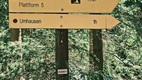 Pandabeer. – Unieke rust gevende Familie camper 4p