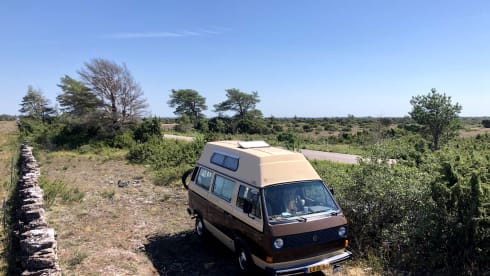 Charlie – VW T3 Adventurewagon Automatic - California Imported