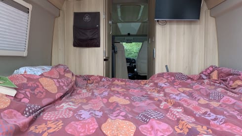 Dreamer – 5 berth Fiat Ducato camper van