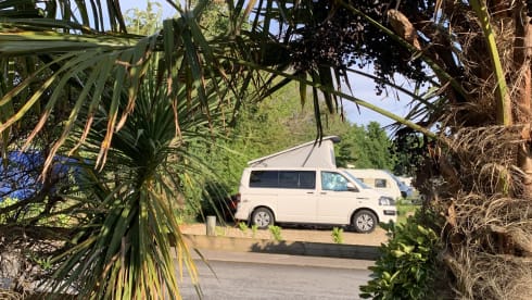 Milan the Van – 5 berth Volkswagen campervan