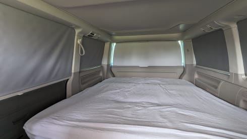 Santa Cruise – Ab geht's