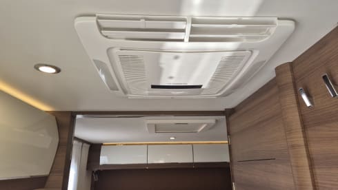 4p Rapido integrated uit 2022