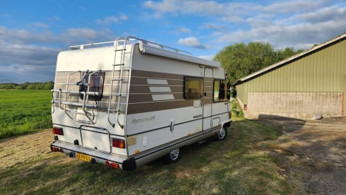 Witte Beer. – 4p Hymer integrated uit 1990
