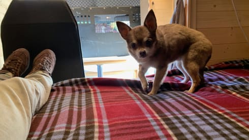 Leah – Beautifully converted wooden interior camper 