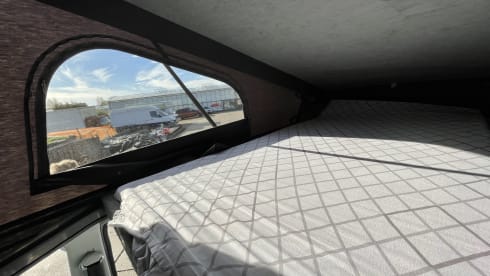 Blastoise – Volkswagen T5 camper van