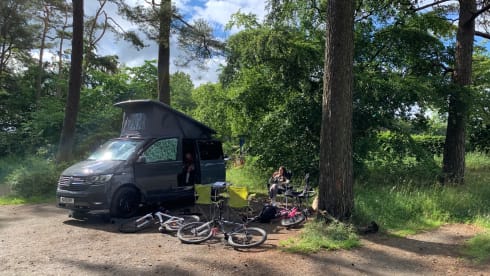 STEEVAN – 2021 Volkswagen campervan 