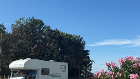 4p Chausson alcove from 2008