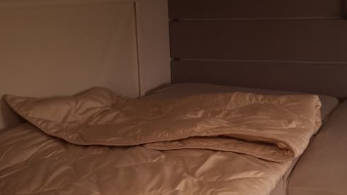 4-pers familie camper, LMC half integraal 2025