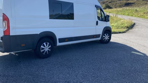 White Shark  – Wild Camper