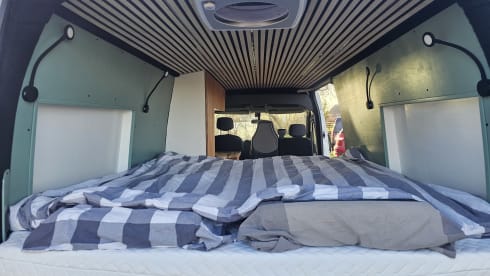 2p Renault bus from 2016