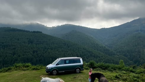 BEACH Green – Volkswagen California COAST Marrone/Grigio Ascot (2021)