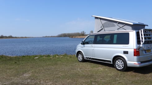 Bulli – Original VW California Ocean T6 auto. Euro6
