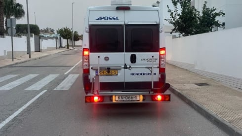 Autobus Pössl 2p del 2012