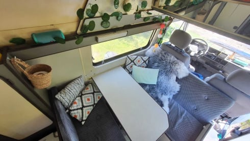 Baksteen – Nice, compact Fiat Ducato from 1986