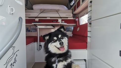 PEUF – das mini "camping car" 4x4 - 4 seasons kommt überall hin