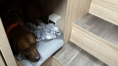 Auszeit für max.4 Personen und Vierbeiner