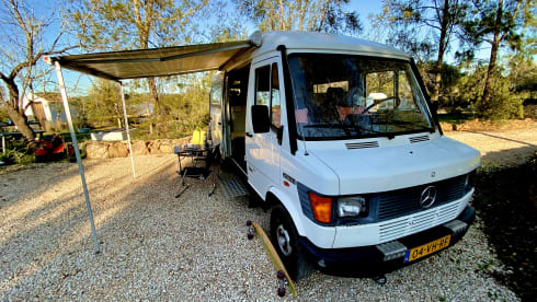 Arnold Mercedes 208D