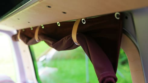 Amigo – 4p Volkswagen bus from 2016