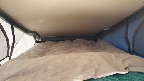  Ford Westfalia Nugget – 4p Westfalia Nugget from 2022