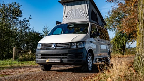 Volkswagen T5 Camperbus 4 persons 