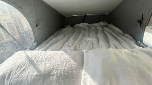 Fully Loaded T5.1 Transporter 