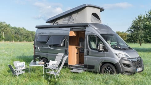 Pumba – Pössl 2 Win Plus 2021 - pop-up roof - 4 sleeping places