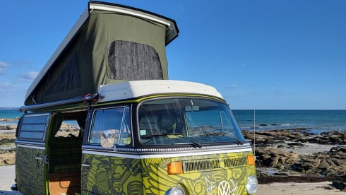 ELVIS  – Vintage Trip, westfalia combi