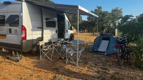 Ragnar – 2p Fiat bus from 2016