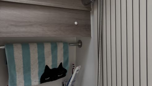 Lady Gaga – 2 berth Fiat campervan from 2023