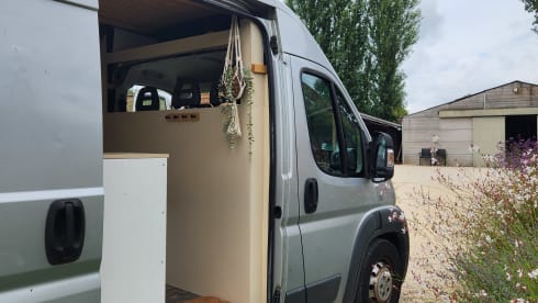 Elsie – 2p Fiat bus from 2014
