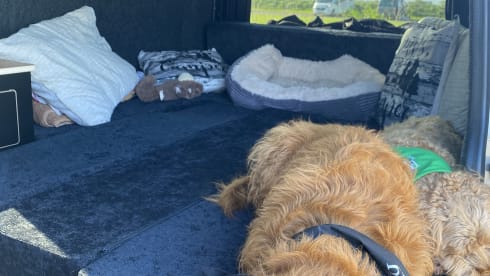 Stan – 4 berth 3 seatbelts Volkswagen campervan from 2014