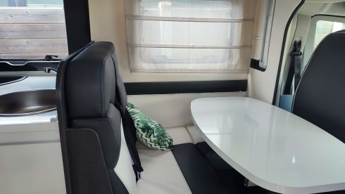 4p Ford semi-integrated from 2019