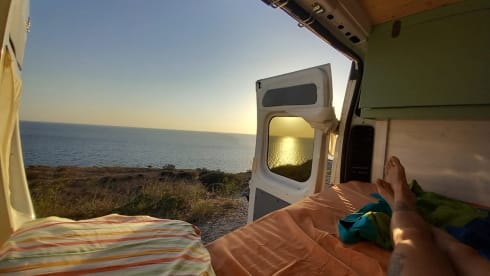 Chiara Previ – Simple wild life