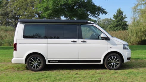 Buzz – VW California Comfort Line (T5)