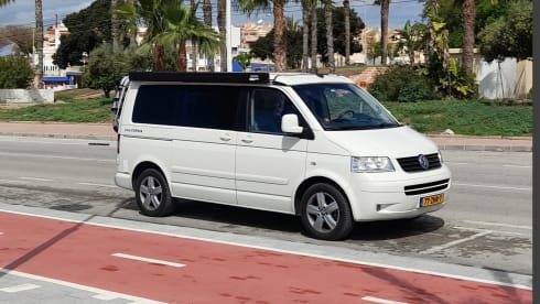 "De Witte" – 4p Volkswagen bus from 2004