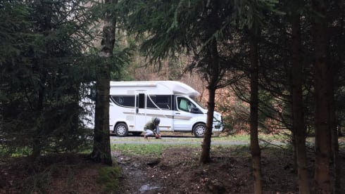 Benimar Cocoon 463 – Brand new family motorhome - Driving license B