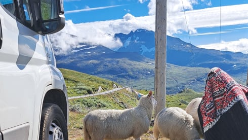 Discover the world! 2 p. Buscamper off-grid, fully equipped.