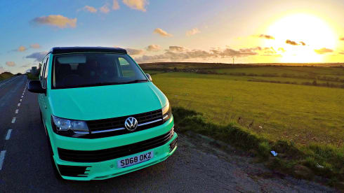 Green 2018 Volkswagen T6