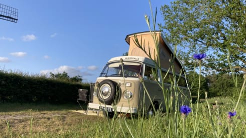 HIPPIECAMP – Retro Volkswagen camper with 4 sleeping places