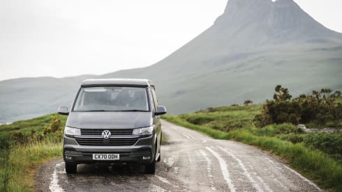 Harley – When Dog Friendly Means Dog Friendly - Luxury VW T6.1 Campervan
