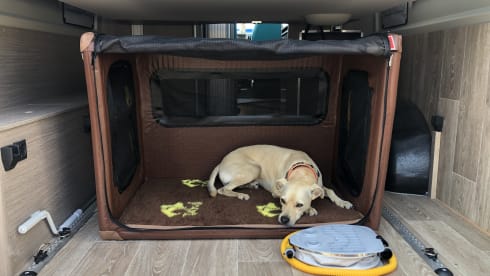 Sports van - Surf & Bike (electric)