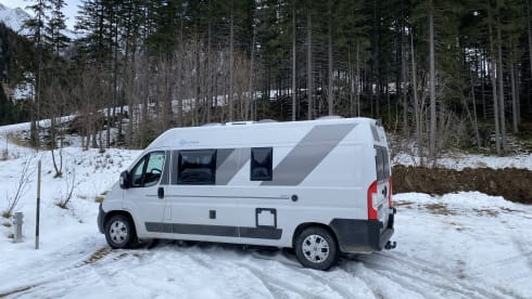 Lama-Mobil 🦙  – Sun Living panel van