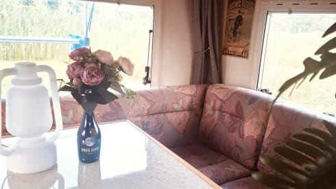 Willemien – Enjoy this characterful Hymer camper!