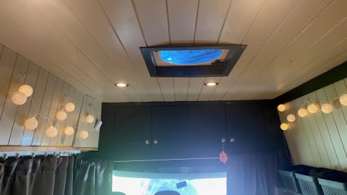 Nicky – 2 berth spacious Citroën van